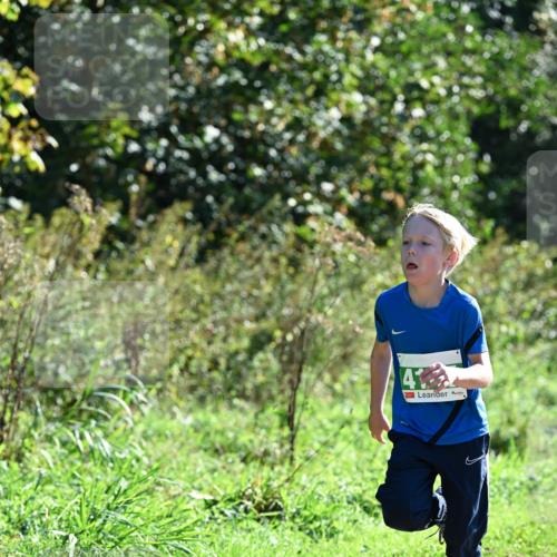 27.09.2026 - 35. Volkslauf durch das schöne Alstertal Dr. Thomas Lammeyer http://msf.ph/oto/10567974 27.09.2026 10:49:57 Laufen 4 meine-sportfotos.de