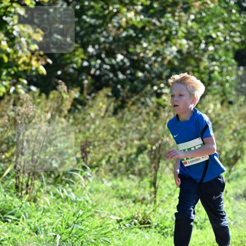 27.09.2026 - 35. Volkslauf durch das schöne Alstertal Dr. Thomas Lammeyer http://msf.ph/oto/10567975 27.09.2026 10:49:57 Laufen  meine-sportfotos.de