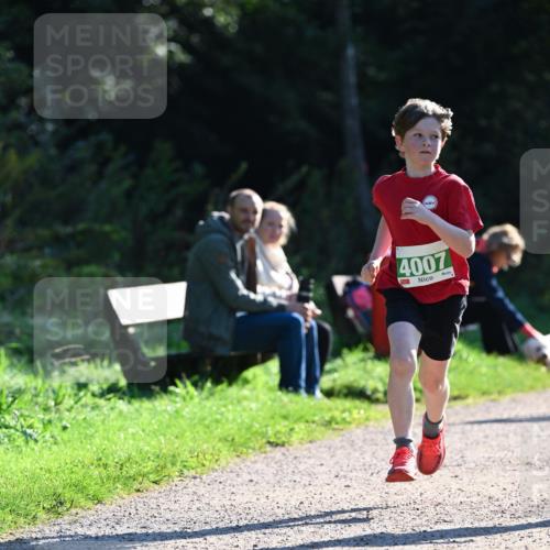 27.09.2026 - 35. Volkslauf durch das schöne Alstertal Dr. Thomas Lammeyer http://msf.ph/oto/10567979 27.09.2026 10:50:07 Laufen 4007 meine-sportfotos.de