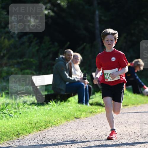 27.09.2026 - 35. Volkslauf durch das schöne Alstertal Dr. Thomas Lammeyer http://msf.ph/oto/10567980 27.09.2026 10:50:07 Laufen 40 meine-sportfotos.de