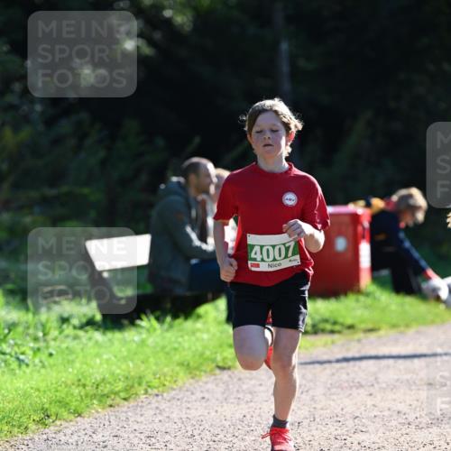 27.09.2026 - 35. Volkslauf durch das schöne Alstertal Dr. Thomas Lammeyer http://msf.ph/oto/10567983 27.09.2026 10:50:07 Laufen 4007 meine-sportfotos.de