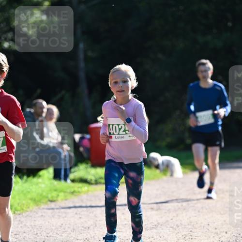 27.09.2026 - 35. Volkslauf durch das schöne Alstertal Dr. Thomas Lammeyer http://msf.ph/oto/10567984 27.09.2026 10:50:08 Laufen 4025 meine-sportfotos.de
