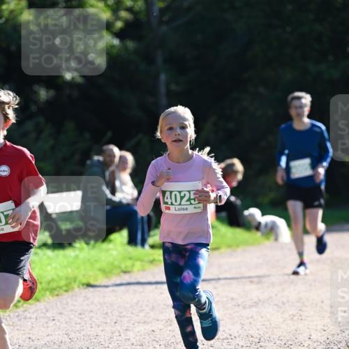 27.09.2026 - 35. Volkslauf durch das schöne Alstertal Dr. Thomas Lammeyer http://msf.ph/oto/10567986 27.09.2026 10:50:08 Laufen 4025 meine-sportfotos.de