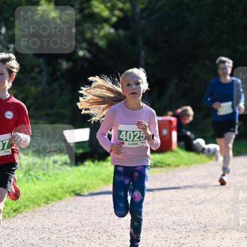 27.09.2026 - 35. Volkslauf durch das schöne Alstertal Dr. Thomas Lammeyer http://msf.ph/oto/10567988 27.09.2026 10:50:09 Laufen 07, 4025 meine-sportfotos.de