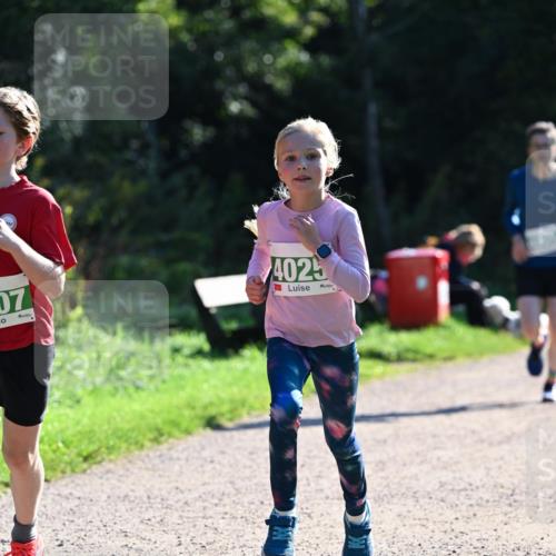 27.09.2026 - 35. Volkslauf durch das schöne Alstertal Dr. Thomas Lammeyer http://msf.ph/oto/10567989 27.09.2026 10:50:09 Laufen 07, 4025 meine-sportfotos.de
