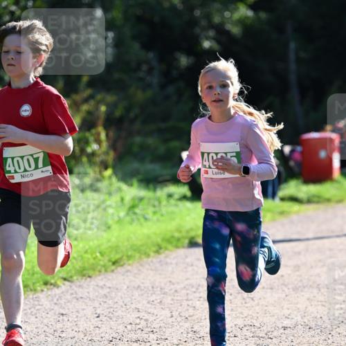 27.09.2026 - 35. Volkslauf durch das schöne Alstertal Dr. Thomas Lammeyer http://msf.ph/oto/10567990 27.09.2026 10:50:09 Laufen 4007, 4065 meine-sportfotos.de