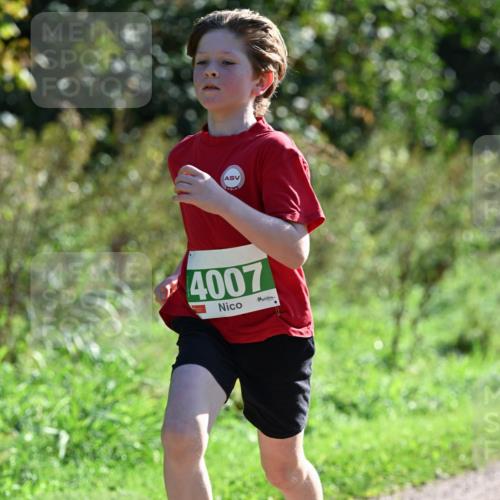 27.09.2026 - 35. Volkslauf durch das schöne Alstertal Dr. Thomas Lammeyer http://msf.ph/oto/10567993 27.09.2026 10:50:10 Laufen 4007 meine-sportfotos.de