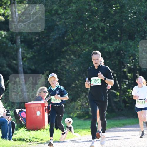 27.09.2026 - 35. Volkslauf durch das schöne Alstertal Dr. Thomas Lammeyer http://msf.ph/oto/10568024 27.09.2026 10:50:26 Laufen 400, 4064, 4032 meine-sportfotos.de