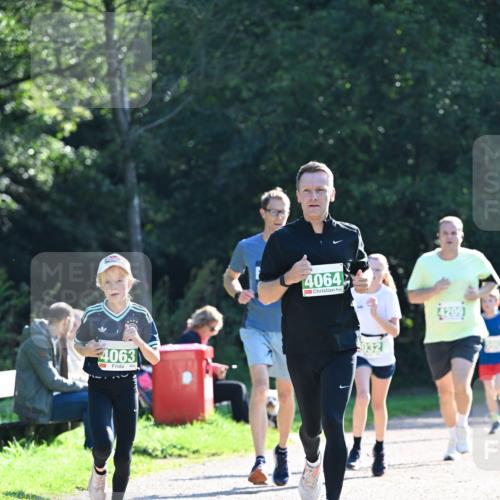 27.09.2026 - 35. Volkslauf durch das schöne Alstertal Dr. Thomas Lammeyer http://msf.ph/oto/10568035 27.09.2026 10:50:28 Laufen 4063, 4064, 032 meine-sportfotos.de