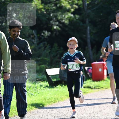 27.09.2026 - 35. Volkslauf durch das schöne Alstertal Dr. Thomas Lammeyer http://msf.ph/oto/10568039 27.09.2026 10:50:29 Laufen 4063, 40 meine-sportfotos.de