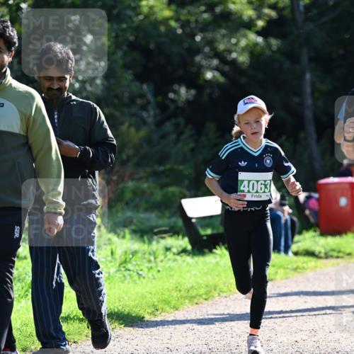 27.09.2026 - 35. Volkslauf durch das schöne Alstertal Dr. Thomas Lammeyer http://msf.ph/oto/10568041 27.09.2026 10:50:29 Laufen 4063 meine-sportfotos.de