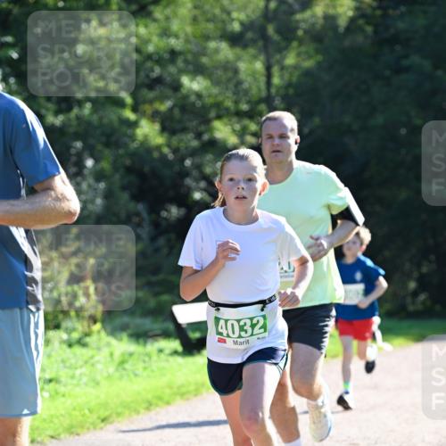 27.09.2026 - 35. Volkslauf durch das schöne Alstertal Dr. Thomas Lammeyer http://msf.ph/oto/10568060 27.09.2026 10:50:32 Laufen 4032 meine-sportfotos.de