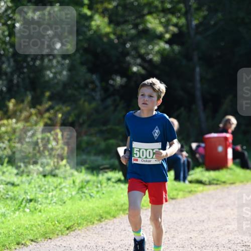 27.09.2026 - 35. Volkslauf durch das schöne Alstertal Dr. Thomas Lammeyer http://msf.ph/oto/10568065 27.09.2026 10:50:34 Laufen 500 meine-sportfotos.de