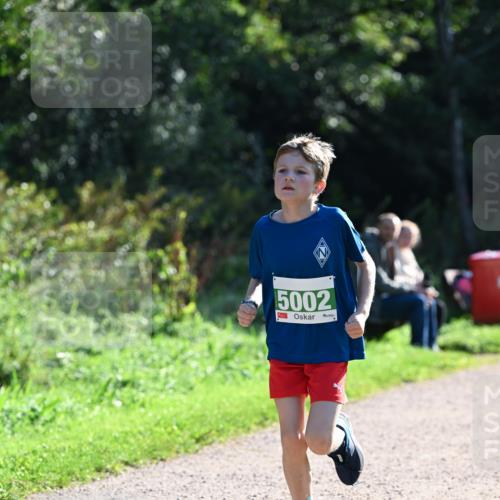 27.09.2026 - 35. Volkslauf durch das schöne Alstertal Dr. Thomas Lammeyer http://msf.ph/oto/10568067 27.09.2026 10:50:34 Laufen 5002 meine-sportfotos.de
