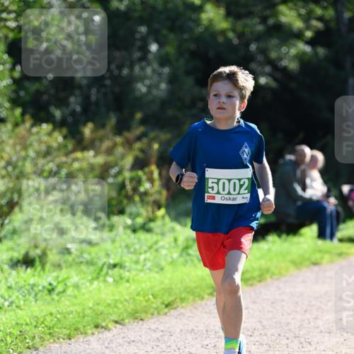 27.09.2026 - 35. Volkslauf durch das schöne Alstertal Dr. Thomas Lammeyer http://msf.ph/oto/10568068 27.09.2026 10:50:35 Laufen 5002 meine-sportfotos.de