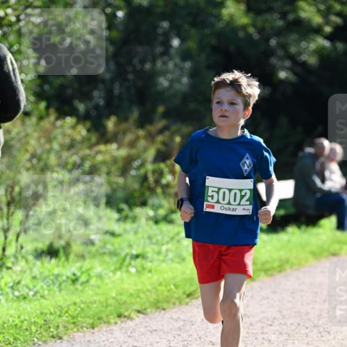 27.09.2026 - 35. Volkslauf durch das schöne Alstertal Dr. Thomas Lammeyer http://msf.ph/oto/10568069 27.09.2026 10:50:35 Laufen 5002 meine-sportfotos.de