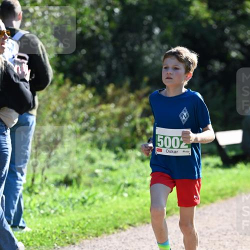 27.09.2026 - 35. Volkslauf durch das schöne Alstertal Dr. Thomas Lammeyer http://msf.ph/oto/10568070 27.09.2026 10:50:35 Laufen 5002 meine-sportfotos.de