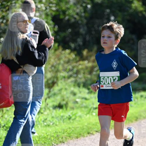 27.09.2026 - 35. Volkslauf durch das schöne Alstertal Dr. Thomas Lammeyer http://msf.ph/oto/10568071 27.09.2026 10:50:35 Laufen 5002 meine-sportfotos.de
