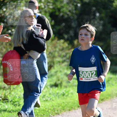 27.09.2026 - 35. Volkslauf durch das schöne Alstertal Dr. Thomas Lammeyer http://msf.ph/oto/10568072 27.09.2026 10:50:35 Laufen 5002 meine-sportfotos.de