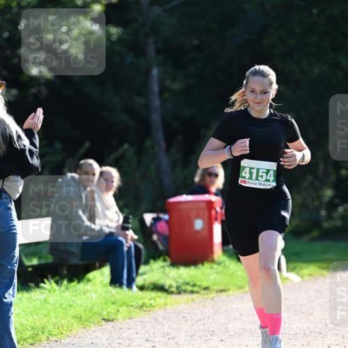 27.09.2026 - 35. Volkslauf durch das schöne Alstertal Dr. Thomas Lammeyer http://msf.ph/oto/10568080 27.09.2026 10:50:43 Laufen 4154 meine-sportfotos.de