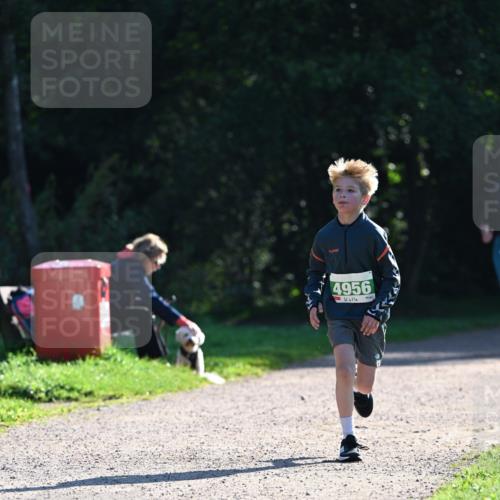 27.09.2026 - 35. Volkslauf durch das schöne Alstertal Dr. Thomas Lammeyer http://msf.ph/oto/10568096 27.09.2026 10:50:52 Laufen 4956 meine-sportfotos.de