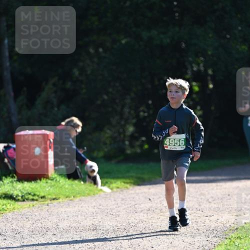 27.09.2026 - 35. Volkslauf durch das schöne Alstertal Dr. Thomas Lammeyer http://msf.ph/oto/10568097 27.09.2026 10:50:52 Laufen 4956 meine-sportfotos.de