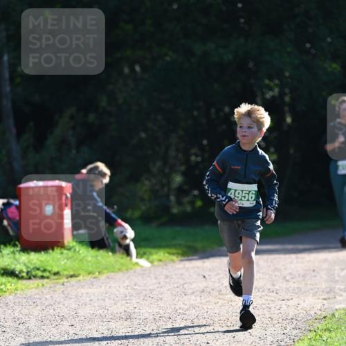 27.09.2026 - 35. Volkslauf durch das schöne Alstertal Dr. Thomas Lammeyer http://msf.ph/oto/10568098 27.09.2026 10:50:52 Laufen 4956 meine-sportfotos.de
