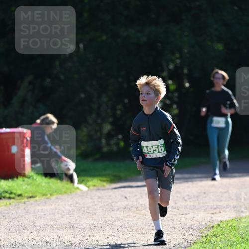 27.09.2026 - 35. Volkslauf durch das schöne Alstertal Dr. Thomas Lammeyer http://msf.ph/oto/10568101 27.09.2026 10:50:53 Laufen 4956 meine-sportfotos.de