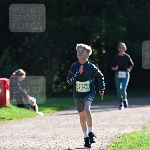 27.09.2026 - 35. Volkslauf durch das schöne Alstertal Dr. Thomas Lammeyer http://msf.ph/oto/10568102 27.09.2026 10:50:53 Laufen 4956 meine-sportfotos.de