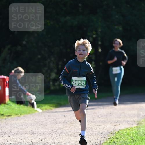 27.09.2026 - 35. Volkslauf durch das schöne Alstertal Dr. Thomas Lammeyer http://msf.ph/oto/10568103 27.09.2026 10:50:53 Laufen 4956 meine-sportfotos.de