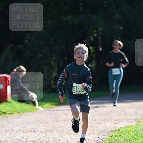 27.09.2026 - 35. Volkslauf durch das schöne Alstertal Dr. Thomas Lammeyer http://msf.ph/oto/10568104 27.09.2026 10:50:53 Laufen 495 meine-sportfotos.de