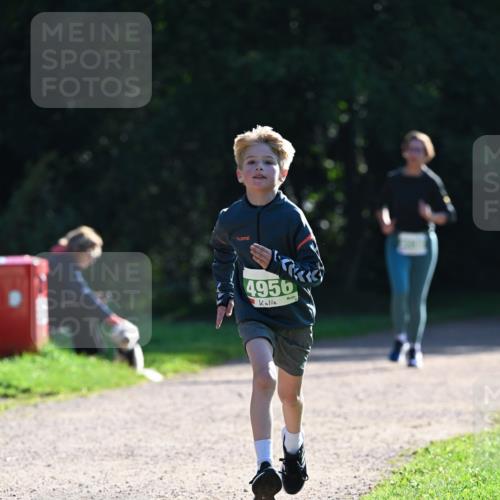 27.09.2026 - 35. Volkslauf durch das schöne Alstertal Dr. Thomas Lammeyer http://msf.ph/oto/10568105 27.09.2026 10:50:53 Laufen 4956 meine-sportfotos.de