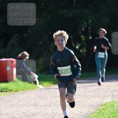 27.09.2026 - 35. Volkslauf durch das schöne Alstertal Dr. Thomas Lammeyer http://msf.ph/oto/10568106 27.09.2026 10:50:53 Laufen 4956 meine-sportfotos.de