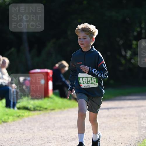 27.09.2026 - 35. Volkslauf durch das schöne Alstertal Dr. Thomas Lammeyer http://msf.ph/oto/10568110 27.09.2026 10:50:54 Laufen 4956 meine-sportfotos.de
