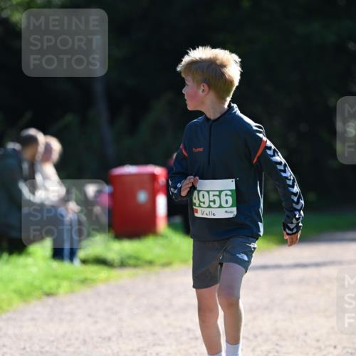 27.09.2026 - 35. Volkslauf durch das schöne Alstertal Dr. Thomas Lammeyer http://msf.ph/oto/10568112 27.09.2026 10:50:54 Laufen 4956 meine-sportfotos.de