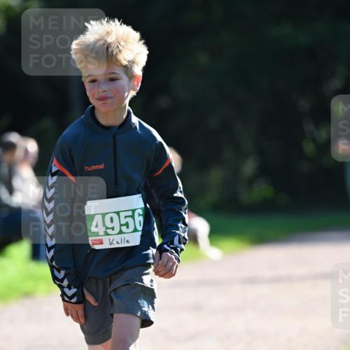 27.09.2026 - 35. Volkslauf durch das schöne Alstertal Dr. Thomas Lammeyer http://msf.ph/oto/10568118 27.09.2026 10:50:55 Laufen 4956 meine-sportfotos.de