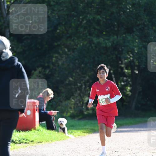 27.09.2026 - 35. Volkslauf durch das schöne Alstertal Dr. Thomas Lammeyer http://msf.ph/oto/10568139 27.09.2026 10:51:04 Laufen 49, 0 meine-sportfotos.de