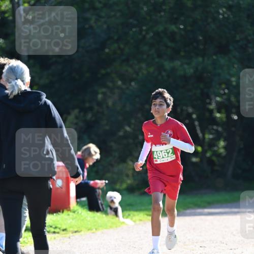 27.09.2026 - 35. Volkslauf durch das schöne Alstertal Dr. Thomas Lammeyer http://msf.ph/oto/10568143 27.09.2026 10:51:05 Laufen 4962 meine-sportfotos.de