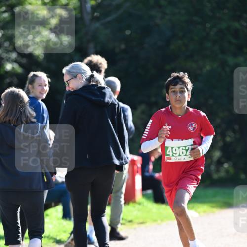 27.09.2026 - 35. Volkslauf durch das schöne Alstertal Dr. Thomas Lammeyer http://msf.ph/oto/10568150 27.09.2026 10:51:06 Laufen 4962 meine-sportfotos.de