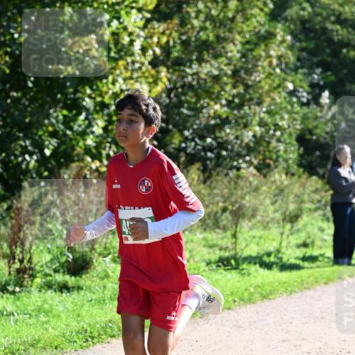 27.09.2026 - 35. Volkslauf durch das schöne Alstertal Dr. Thomas Lammeyer http://msf.ph/oto/10568165 27.09.2026 10:51:08 Laufen  meine-sportfotos.de