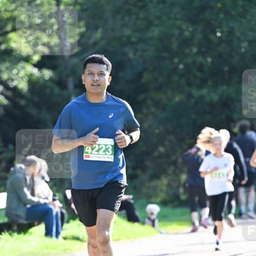 27.09.2026 - 35. Volkslauf durch das schöne Alstertal Dr. Thomas Lammeyer http://msf.ph/oto/10568222 27.09.2026 10:51:21 Laufen 4223 meine-sportfotos.de