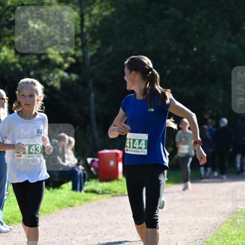 27.09.2026 - 35. Volkslauf durch das schöne Alstertal Dr. Thomas Lammeyer http://msf.ph/oto/10568247 27.09.2026 10:51:26 Laufen 143, 4144 meine-sportfotos.de