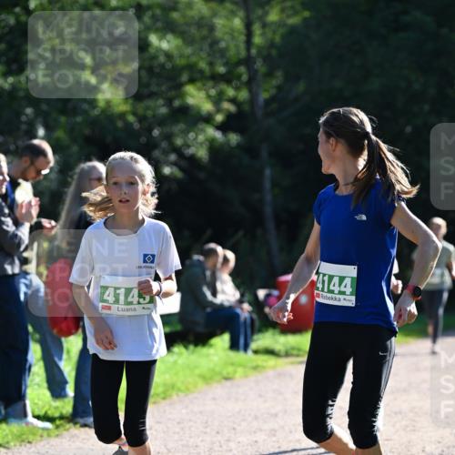 27.09.2026 - 35. Volkslauf durch das schöne Alstertal Dr. Thomas Lammeyer http://msf.ph/oto/10568248 27.09.2026 10:51:26 Laufen 4145, 4144 meine-sportfotos.de