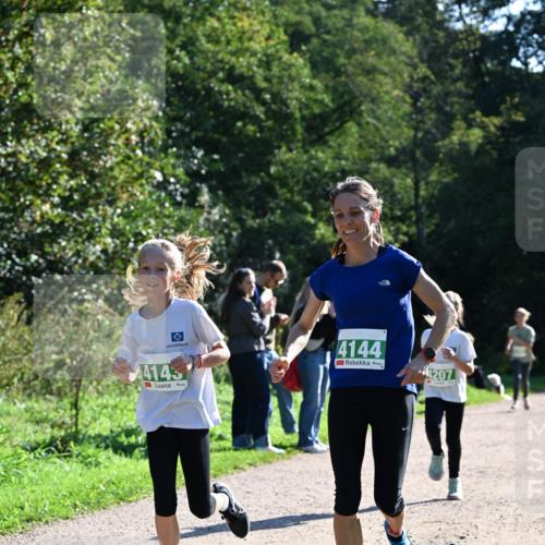 27.09.2026 - 35. Volkslauf durch das schöne Alstertal Dr. Thomas Lammeyer http://msf.ph/oto/10568252 27.09.2026 10:51:27 Laufen 4145, 4144, 4207 meine-sportfotos.de