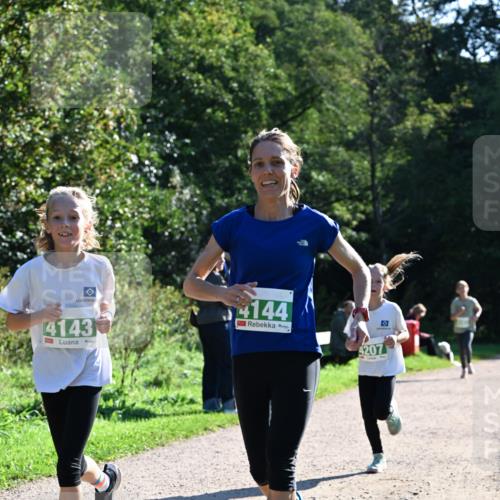 27.09.2026 - 35. Volkslauf durch das schöne Alstertal Dr. Thomas Lammeyer http://msf.ph/oto/10568254 27.09.2026 10:51:27 Laufen 4144, 4143, 4207 meine-sportfotos.de