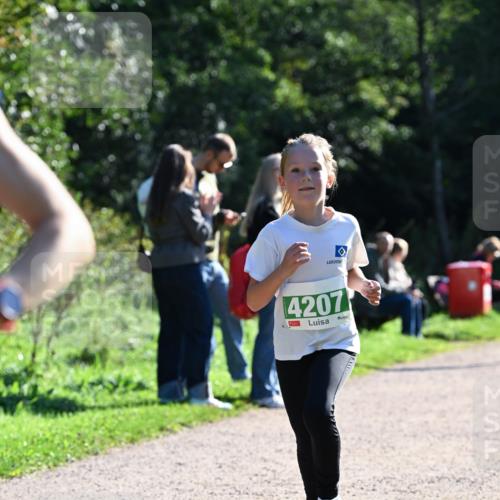 27.09.2026 - 35. Volkslauf durch das schöne Alstertal Dr. Thomas Lammeyer http://msf.ph/oto/10568256 27.09.2026 10:51:28 Laufen 4207 meine-sportfotos.de