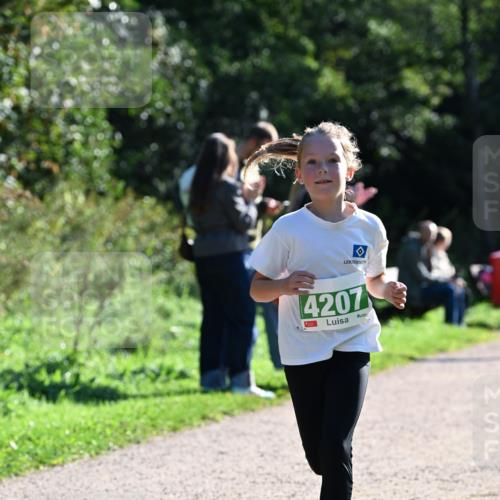 27.09.2026 - 35. Volkslauf durch das schöne Alstertal Dr. Thomas Lammeyer http://msf.ph/oto/10568257 27.09.2026 10:51:28 Laufen 4207 meine-sportfotos.de