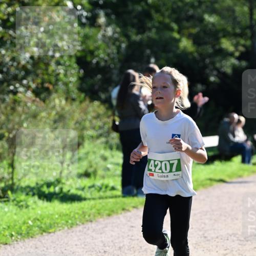 27.09.2026 - 35. Volkslauf durch das schöne Alstertal Dr. Thomas Lammeyer http://msf.ph/oto/10568258 27.09.2026 10:51:28 Laufen 4207 meine-sportfotos.de