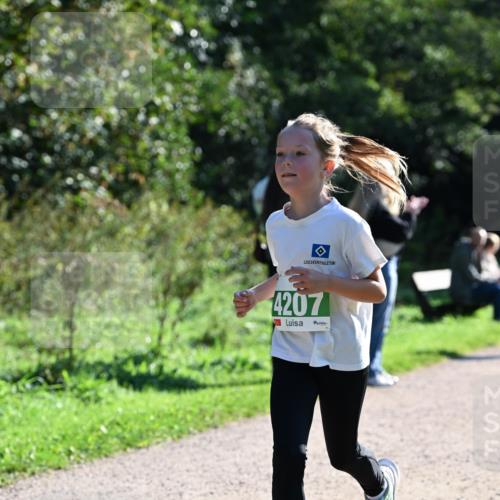27.09.2026 - 35. Volkslauf durch das schöne Alstertal Dr. Thomas Lammeyer http://msf.ph/oto/10568259 27.09.2026 10:51:28 Laufen 4207 meine-sportfotos.de