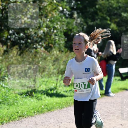 27.09.2026 - 35. Volkslauf durch das schöne Alstertal Dr. Thomas Lammeyer http://msf.ph/oto/10568260 27.09.2026 10:51:28 Laufen 4207 meine-sportfotos.de